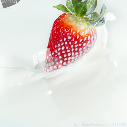 Image of strawberry splashing into milk