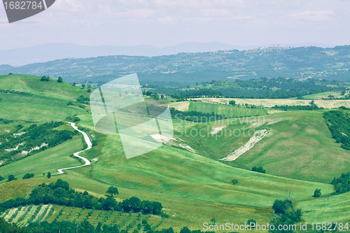 Image of Typical Tuscan landscape