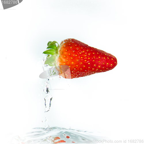 Image of strawberry in the water