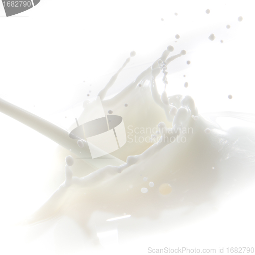 Image of milk splash