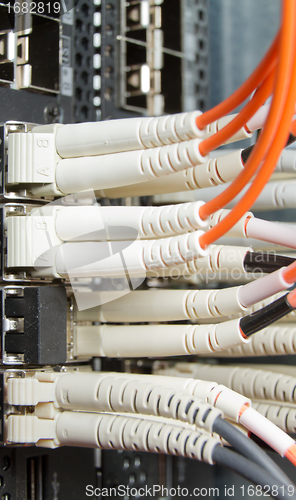 Image of network cables
