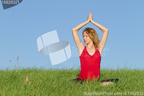 Image of pregnant woman on meadow