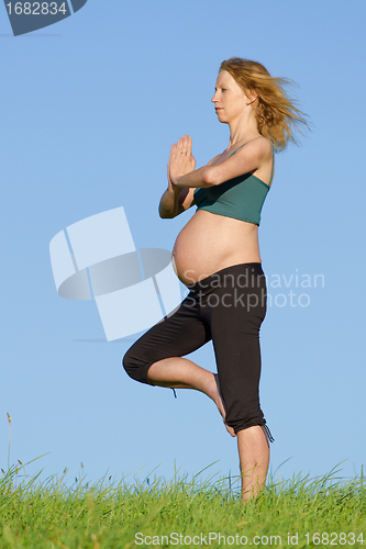 Image of pregnant woman on meadow