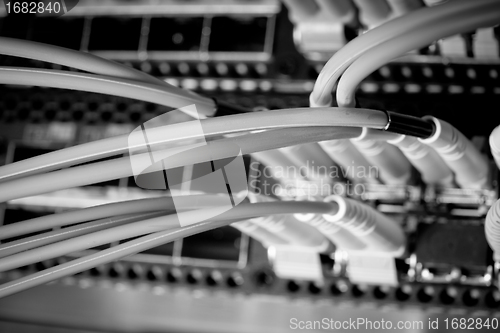 Image of network cables