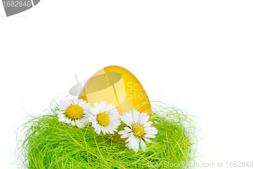 Image of easter egg in nest