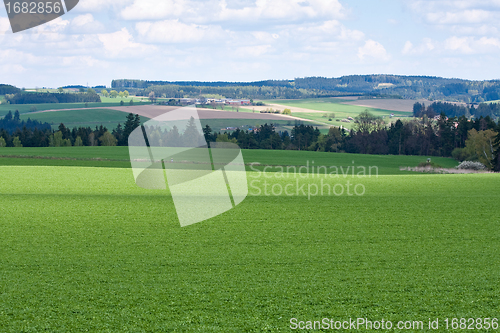 Image of green field