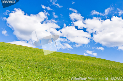 Image of green field