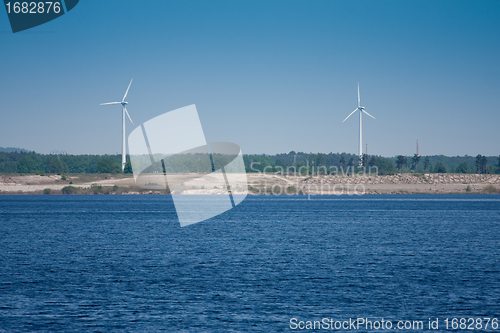 Image of windmill  farm