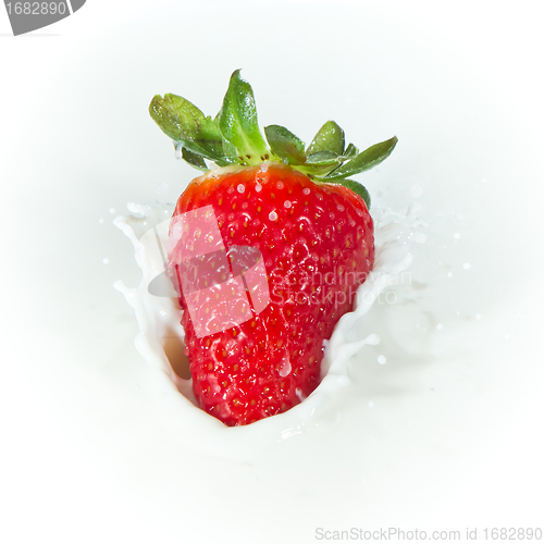 Image of strawberry splashing into milk