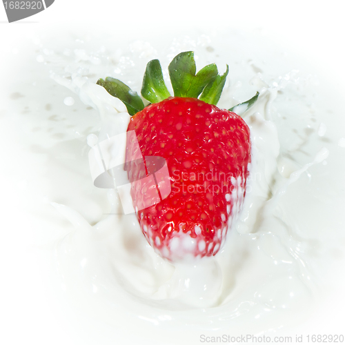 Image of strawberry splashing into milk