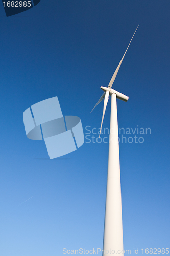 Image of windmill  farm