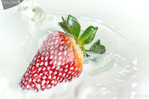 Image of strawberry splashing into milk