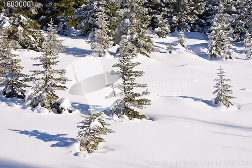 Image of fresh snow in the mountains