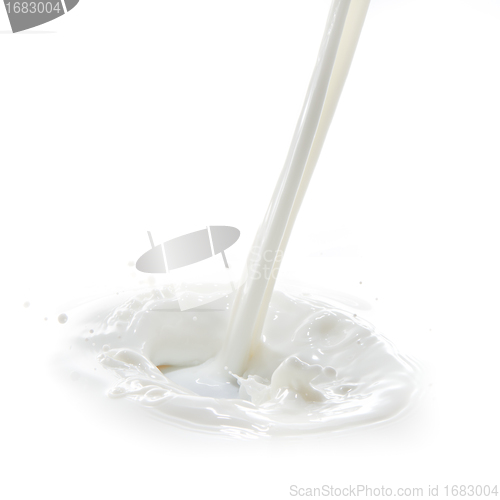 Image of milk splash