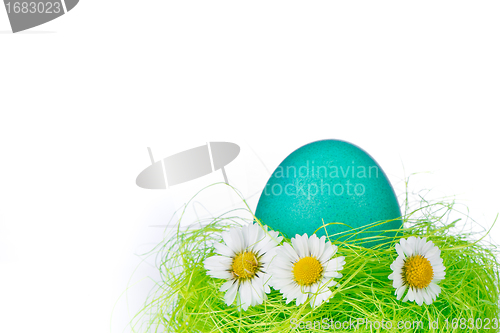 Image of easter egg in nest