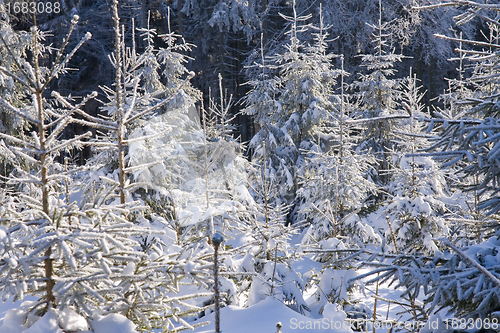 Image of fresh snow in the mountains