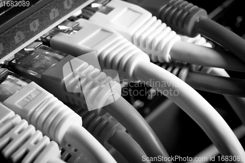 Image of network cables