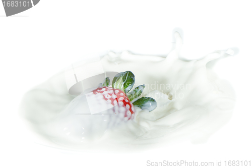 Image of strawberry splashing into milk