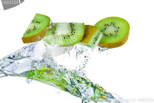 Image of kiwi splashing