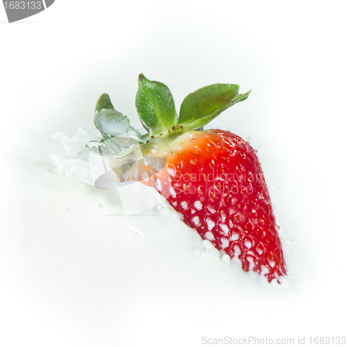 Image of strawberry splashing into milk