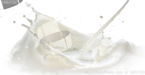 Image of milk splash