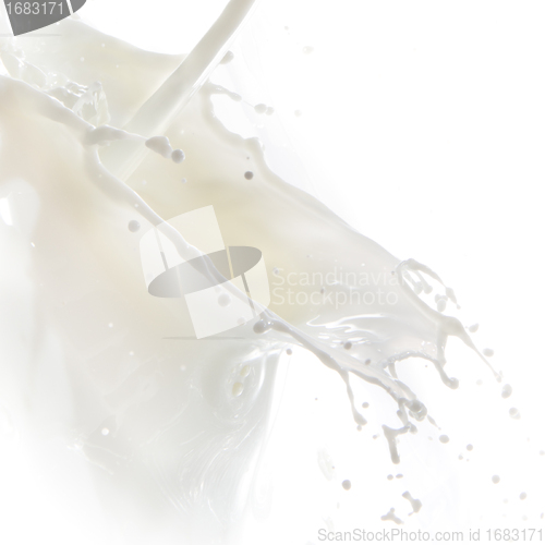 Image of milk splash