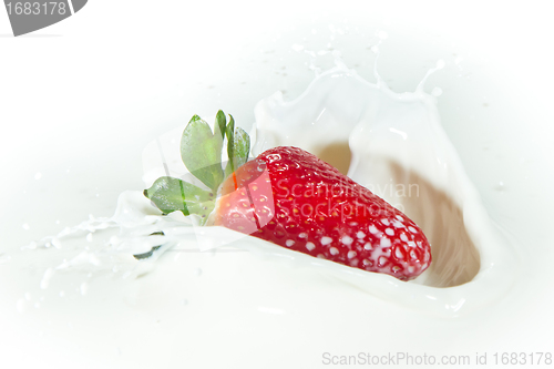 Image of strawberry splashing into milk