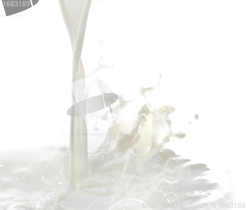 Image of milk splash