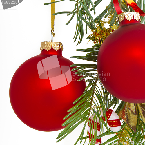 Image of Christmas decoration