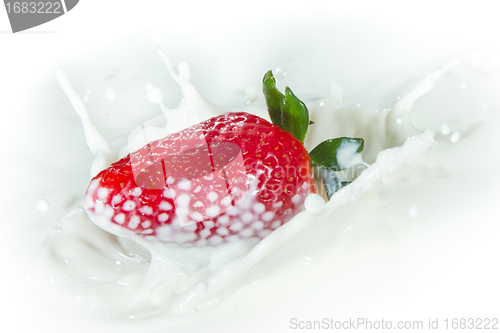 Image of strawberry splashing into milk