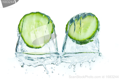 Image of cucumber in water