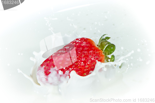 Image of strawberry splashing into milk