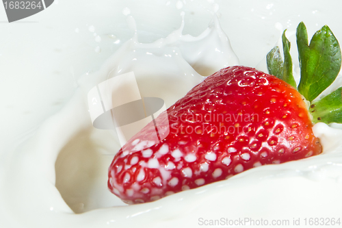 Image of strawberry splashing into milk