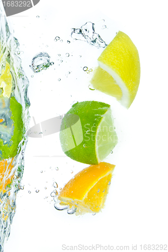 Image of citrus fruit splashing