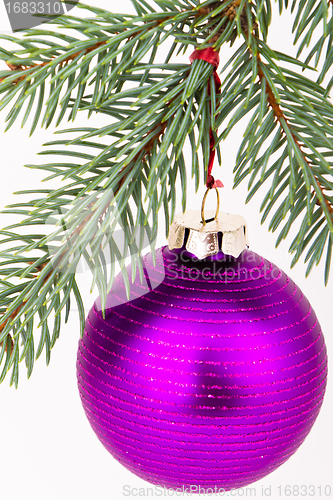 Image of Christmas decoration