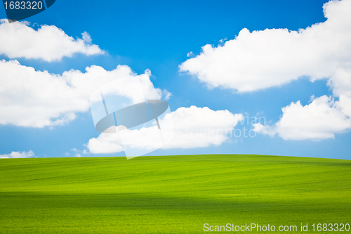 Image of green field
