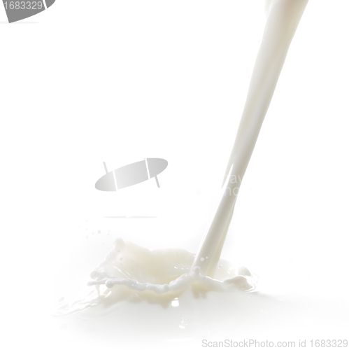 Image of milk splash