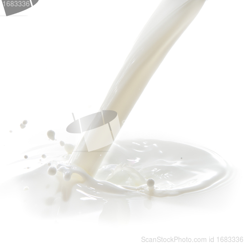 Image of milk splash