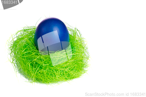 Image of easter egg in nest