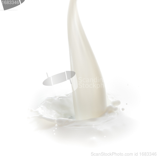 Image of milk splash