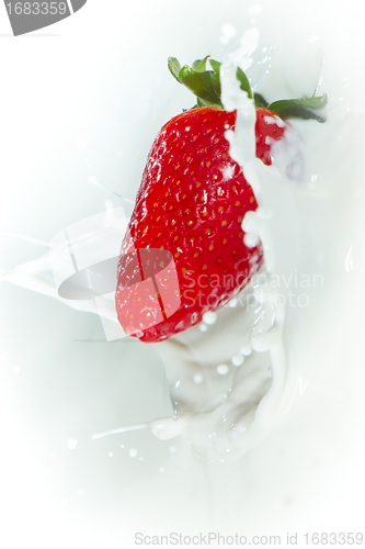 Image of strawberry splashing into milk