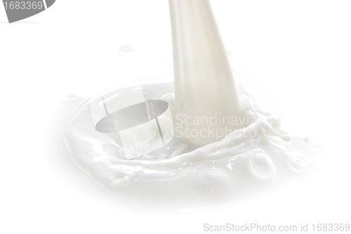 Image of milk splash