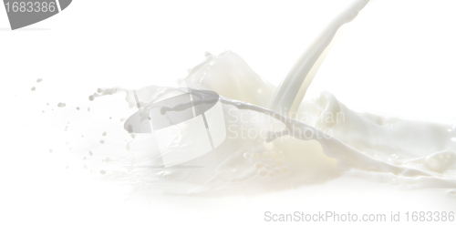 Image of milk splash