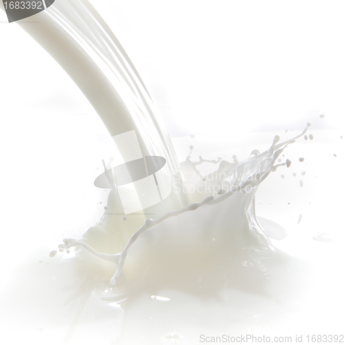 Image of milk splash