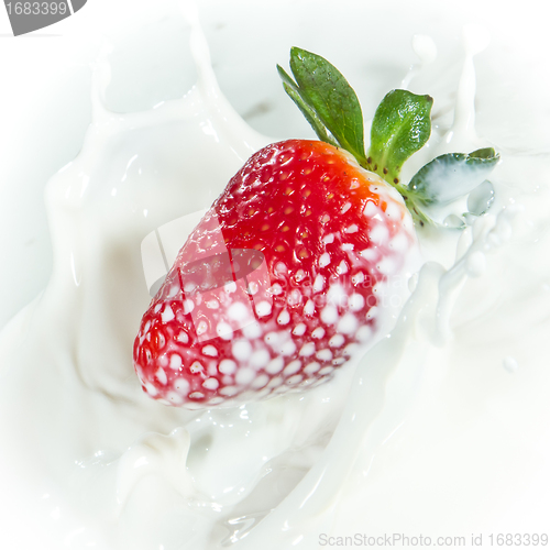 Image of strawberry splashing into milk