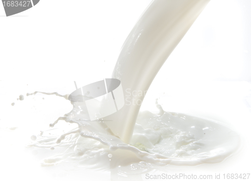 Image of milk splash