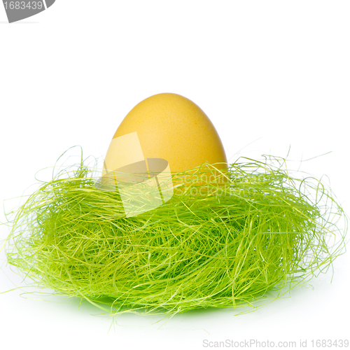 Image of easter egg in nest