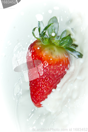 Image of strawberry splashing into milk