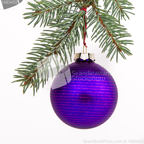 Image of Christmas decoration