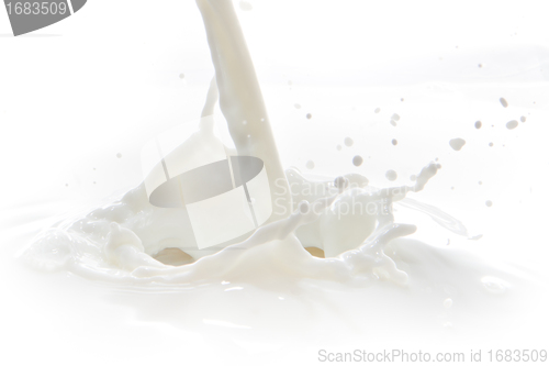 Image of milk splash